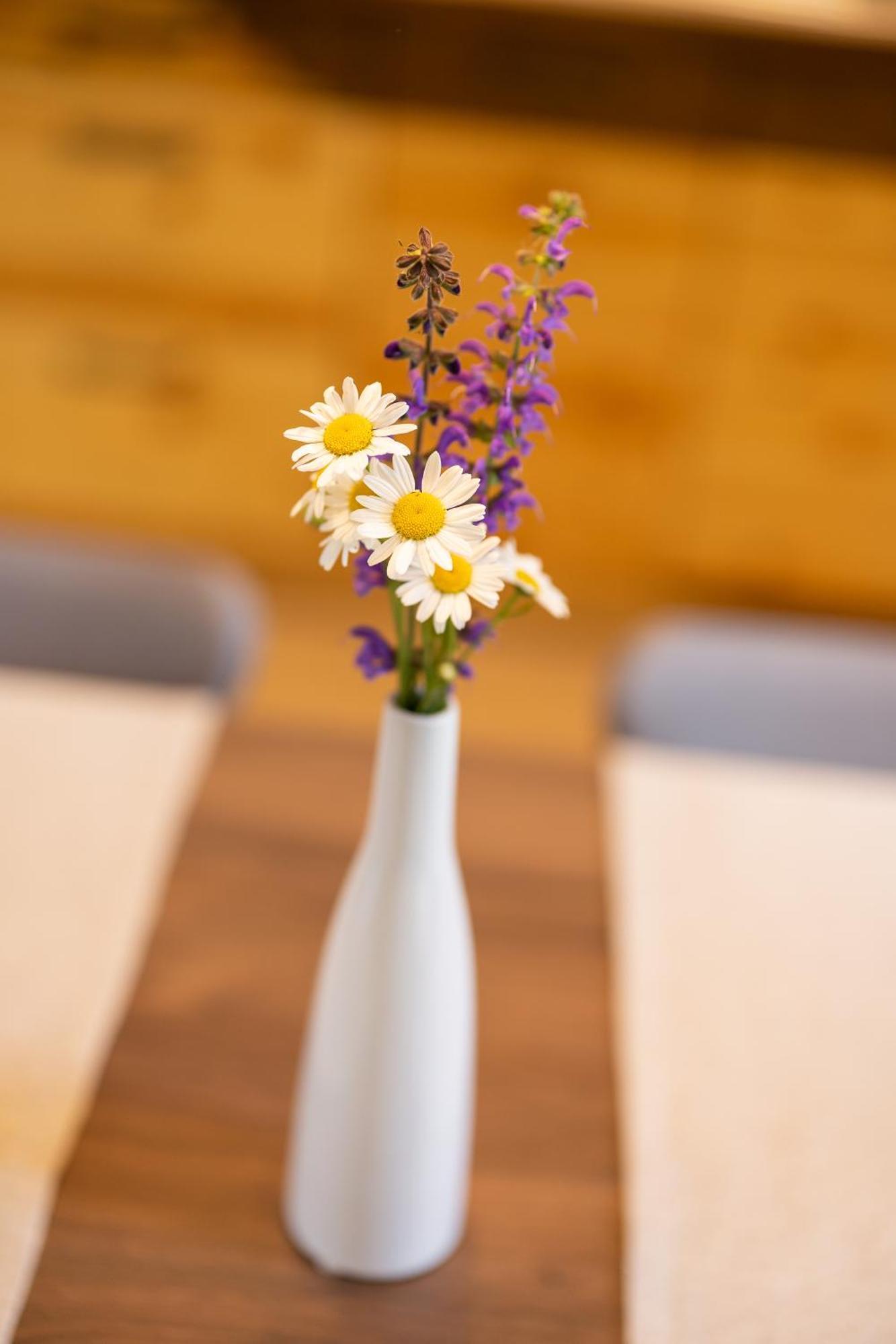Privillage Stare - B&B Bohinj Bagian luar foto